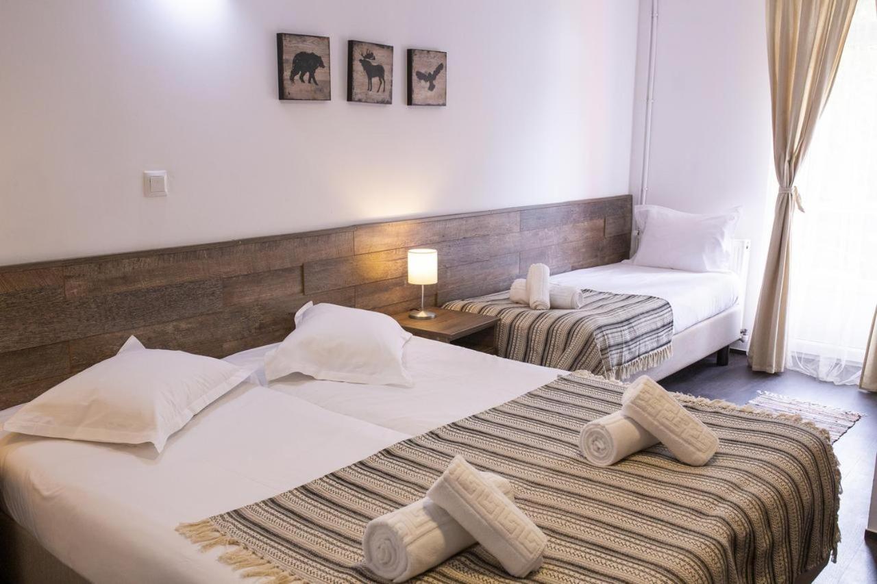 Hotel Floare De Colt Мэнэстиря-Гуморулуй Экстерьер фото